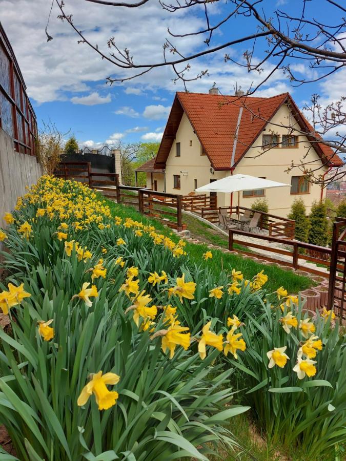 Apartament Matei Brasov Luaran gambar