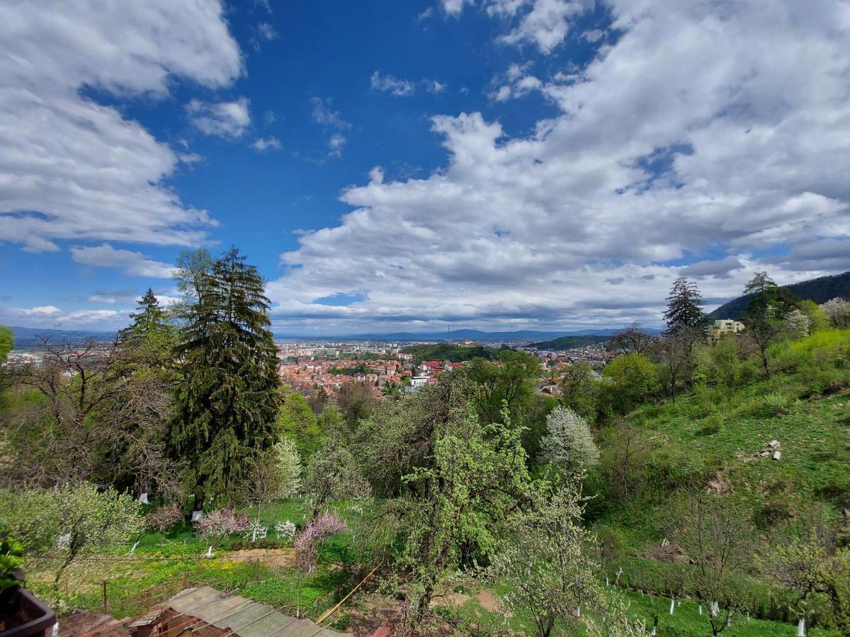Apartament Matei Brasov Luaran gambar