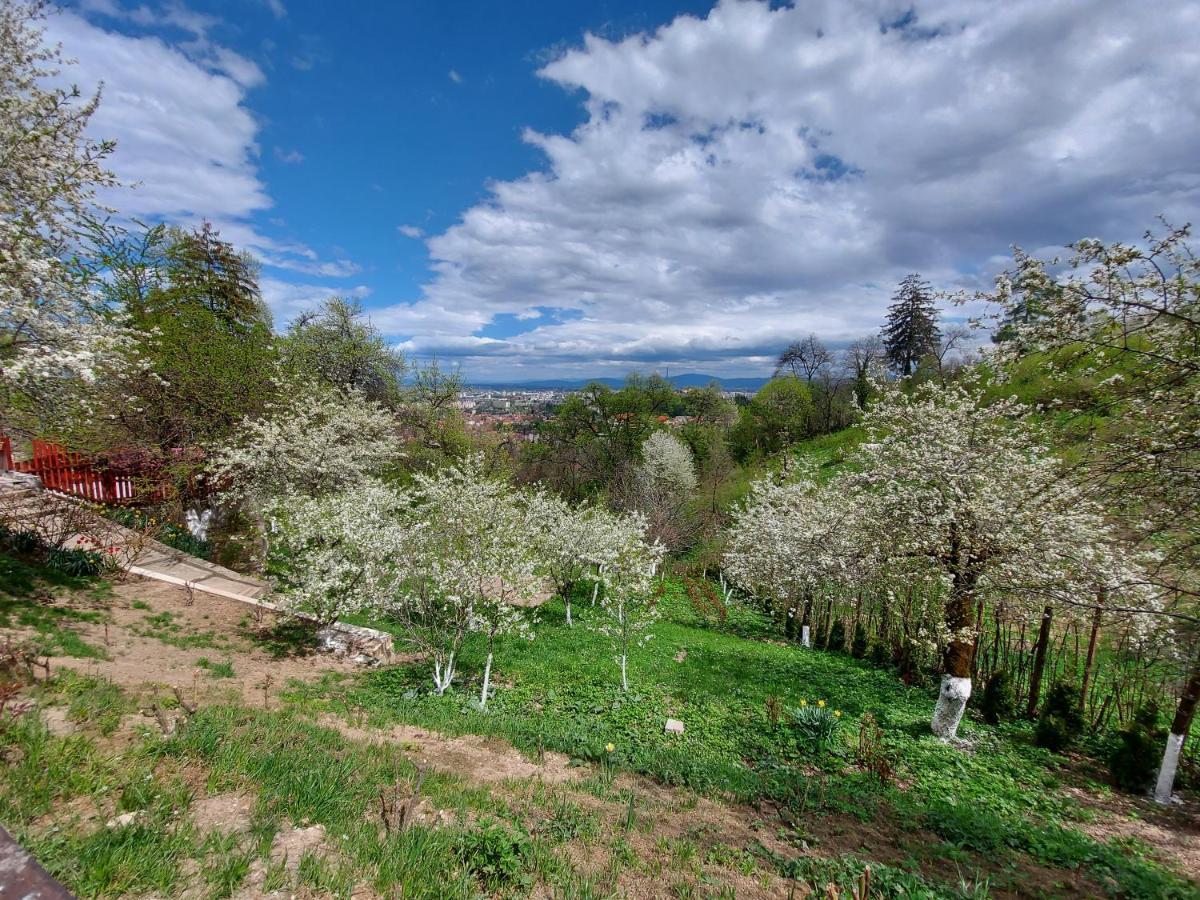 Apartament Matei Brasov Luaran gambar